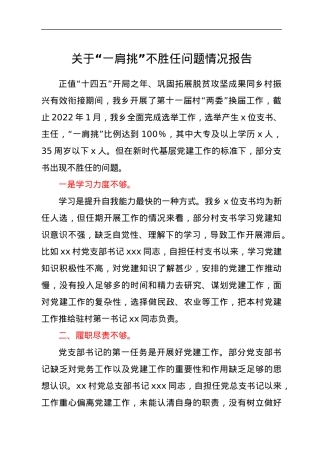 关于“一肩挑”不胜任问题情况报告.docx