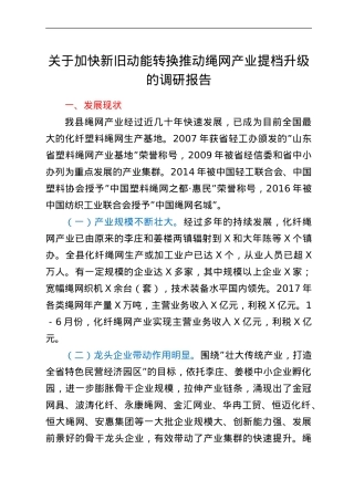 关于加快新旧动能转换推动绳网产业提档升级的调研报告.doc
