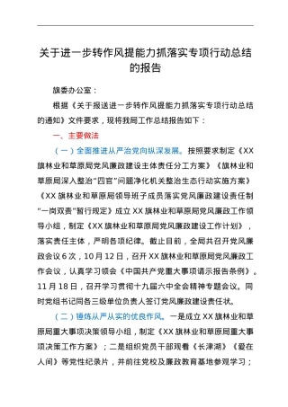 关于进一步转作风提能力抓落实专项行动总结的报告.doc