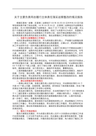 关于主要负责同志履行主体责任落实巡察整改的情况报告.docx