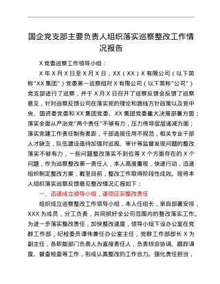 国企党支部主要负责人组织落实巡察整改工作情况报告.doc