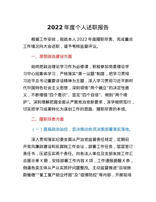 2022年度个人述职报告.docx