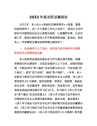 2022年度述职述廉报告.docx