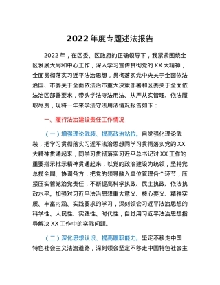 2022年度专题述法报告.docx