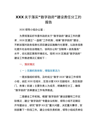 XXX关于落实数字政府建设责任分工的报告.docx