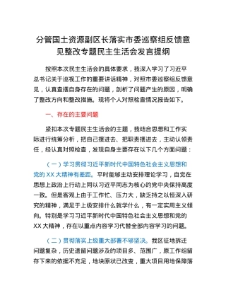 分管国土资源副区长落实市委巡察组反馈意见整改专题民主生活会发言提纲.docx