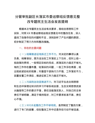 分管审批副区长落实市委巡察组反馈意见整改专题民主生活会发言提纲.docx