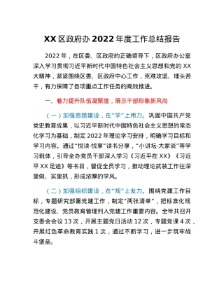 XX区政府办2022年度工作总结报告.docx