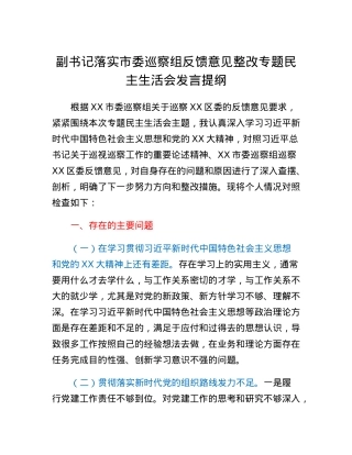 副书记落实市委巡察组反馈意见整改专题民主生活会发言提纲.docx
