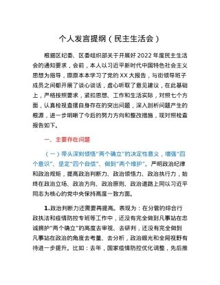 个人发言提纲（民主生活会）.docx