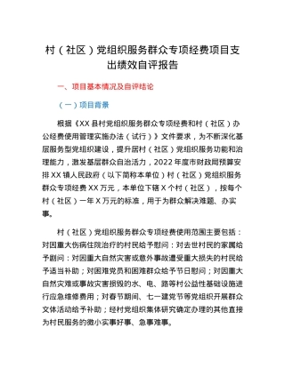 村（社区）党组织服务群众专项经费项目支出绩效自评报告.docx