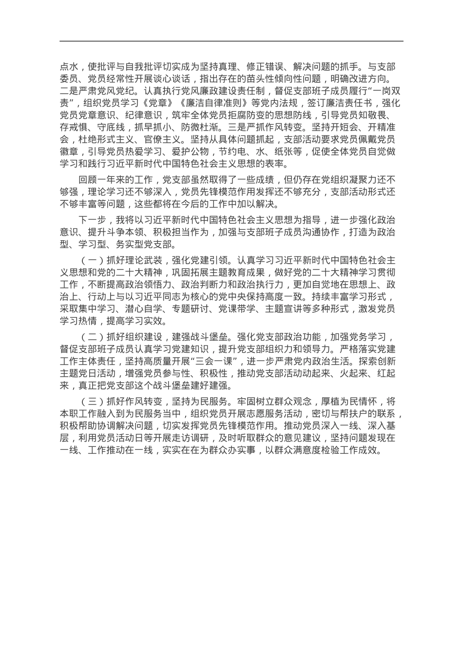 党支部书记2023年抓党建工作述职报告.doc_第2页