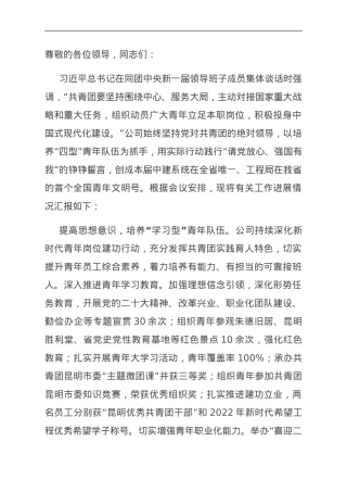 国企在青年工作高质量发展座谈会上的汇报发言.doc