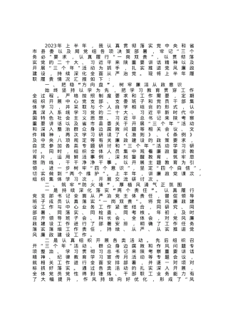 党支部书记关于落实“一岗双责”情况的报告.docx