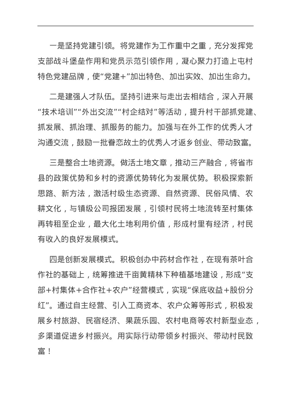 交流发言：坚持党建引领 走稳振兴之路.doc_第3页