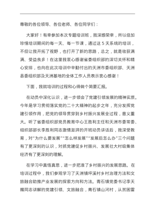 交流发言：坚持党建引领 走稳振兴之路.doc