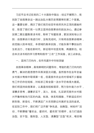 交流发言：以自我革命精神全面推进乡村振兴.doc