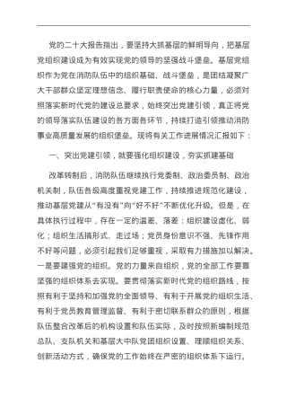 关于党建引领推动事业高质量发展的情况汇报.doc