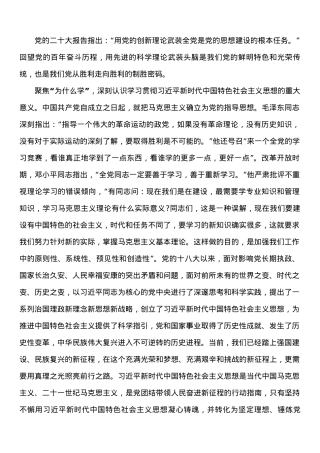 交流发言材料：坚持不懈用党的创新理论凝心铸魂.docx