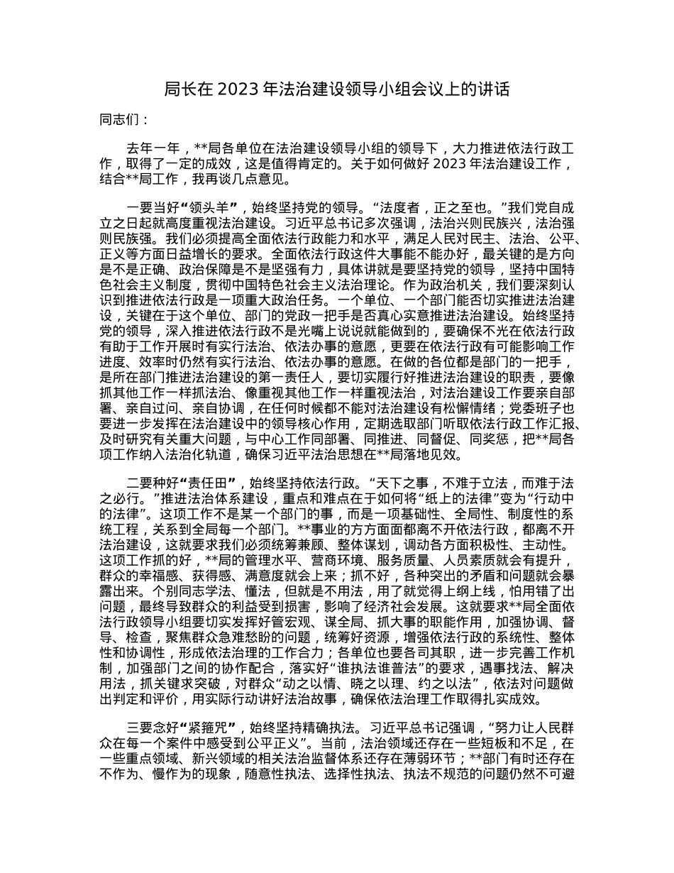 局长在2023年法治建设领导小组会议上的讲话.docx_第1页