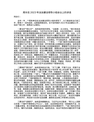 局长在2023年法治建设领导小组会议上的讲话.docx