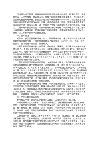 关于年轻干部问题现状及建立培养选拔工作机制的调研报告.doc
