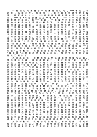 关于以党建高质量引领企业高质量发展的情况汇报.doc