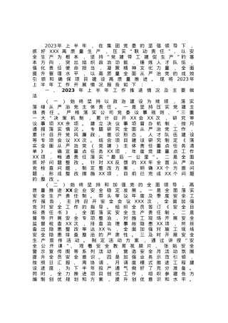 国企党委书记2023年上半年履行全面从严治党主体责任工作情况报告（总结）.docx