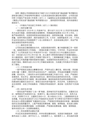 国企党支部2023年度“堡垒指数”考评暨党支部标准化建设工作验收考评自查报告.doc