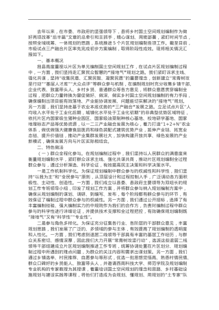 国土空间片区规划试点成果汇报.doc