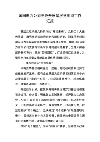 国网电力公司党委开展基层党组织工作汇报.docx