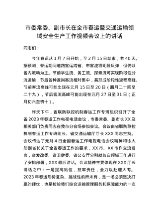 市委常委、副市长在全市春运暨交通运输领域安全生产工作视频会议上的讲话.docx