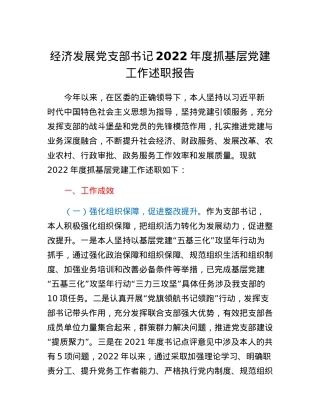 经济发展党支部书记2022年度抓基层党建工作述职报告.docx