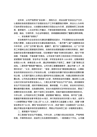 经验汇报：“三化管理”夯实公司安全和谐稳定发展根基.docx