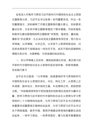 市政数据在市委主题教育专题调研督导会上的汇报发言.doc