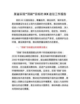 某省实现双碳目标的XX途径工作报告.docx
