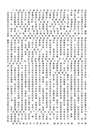 某市2023年第一批主题教育总结评估报告.doc