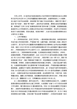 司法局2023年上半年工作总结和下半年工作计划的报告.docx