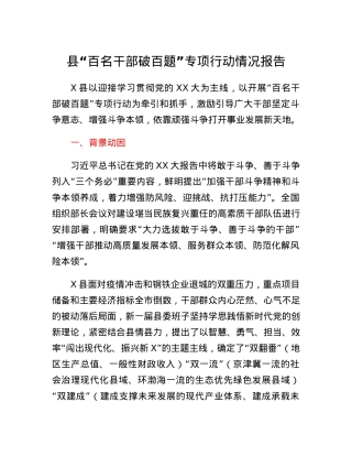 县百名干部破百题专项行动情况报告.docx