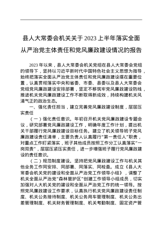 县人大常委会机关关于2023上半年落实全面从严治党主体责任和党风廉政建设情况的报告.docx