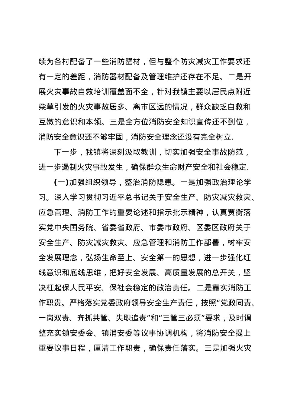 乡镇消防安全工作汇报.doc_第2页