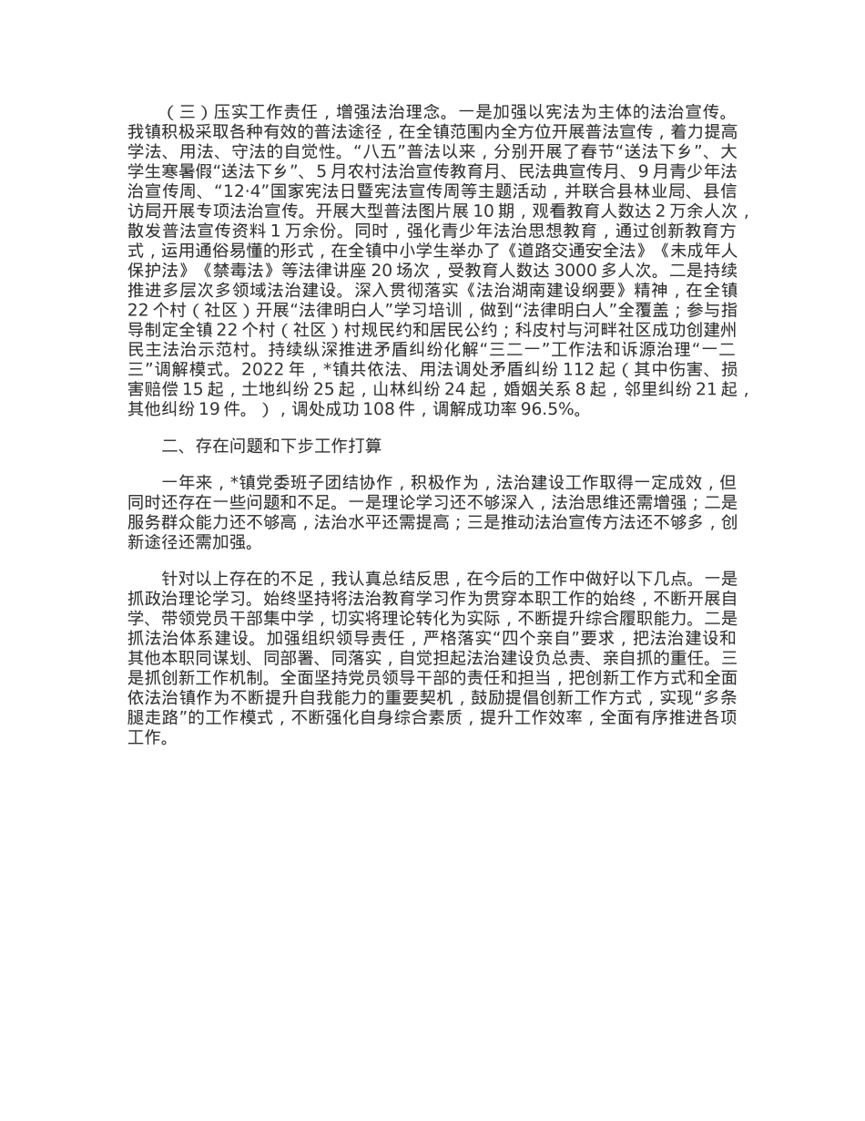 镇党委书记履行推进法治建设第一责任人职责述职报告.docx_第2页