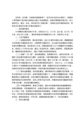 镇总河长述职报告.docx