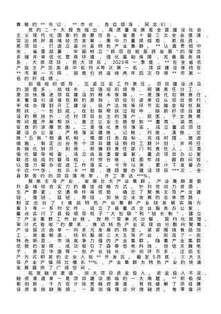 在2023年全市重点项目建设工作推进会上的汇报发言.doc