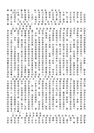 在2023年上半年集团重点工作推进会上的汇报发言.doc