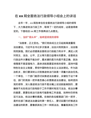 在xx局全面依法行政领导小组会上的讲话.docx
