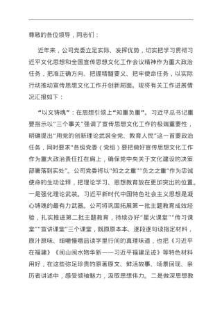 在国有企业宣传思想文化工作会议上的汇报发言.doc