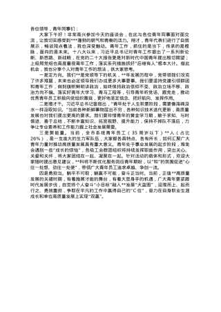 在青年主题座谈会上的发言.docx