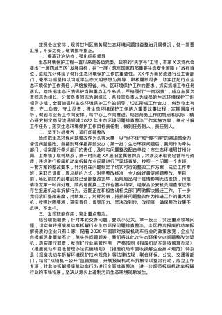 在全区生态环保问题工作推进会议上的表态发言.docx