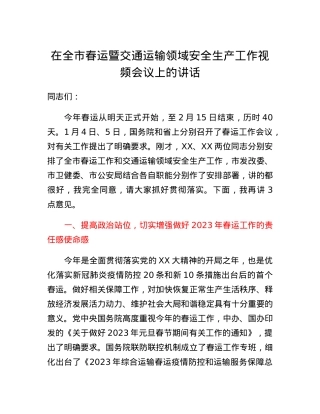 在全市春运暨交通运输领域安全生产工作视频会议上的讲话.docx